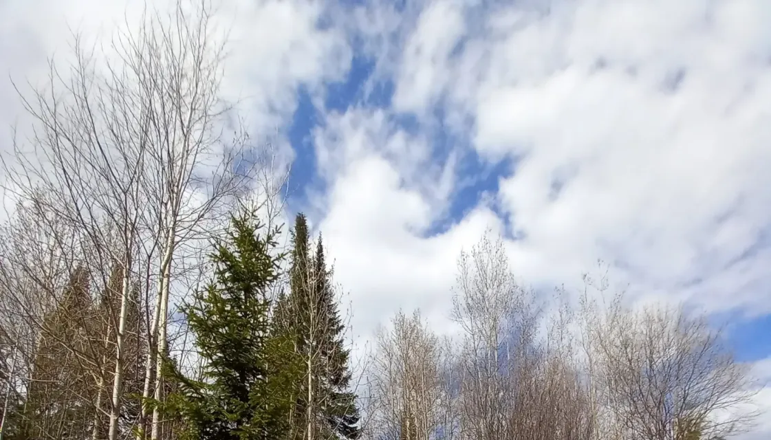 Весна на Вятке