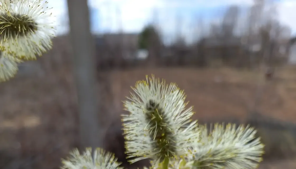 Весна на Вятке