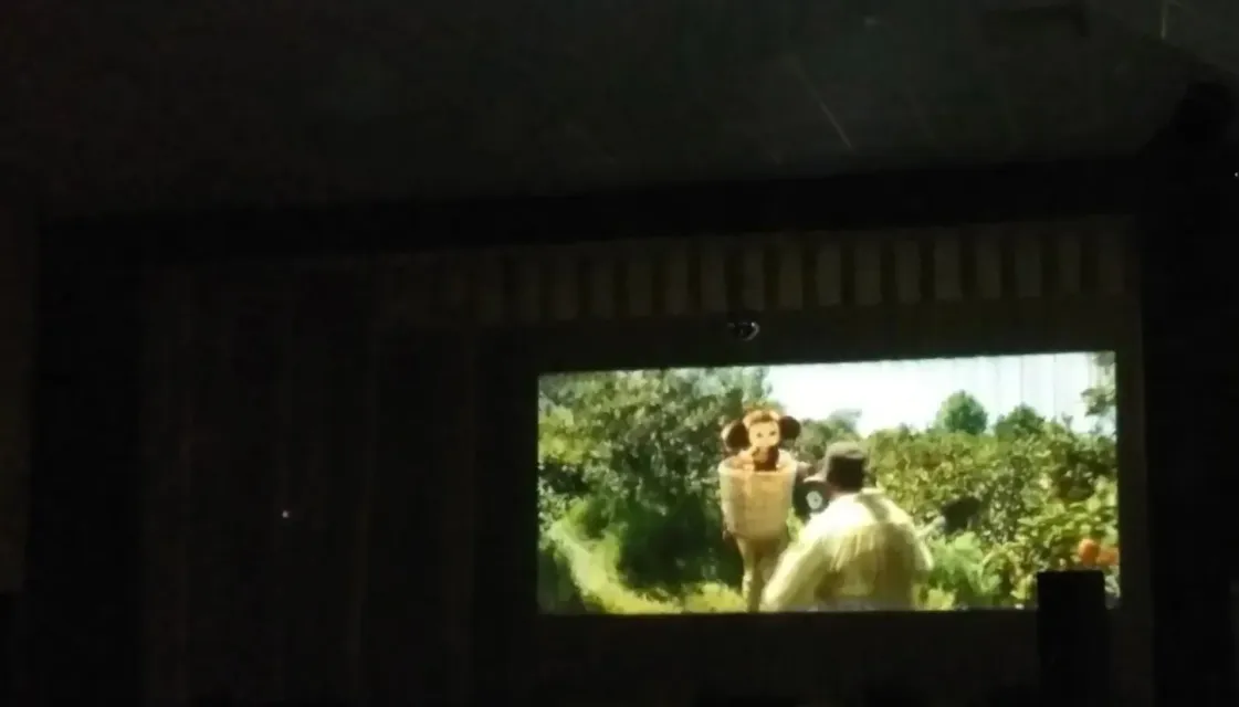 Всероссийская акция Ночь кино