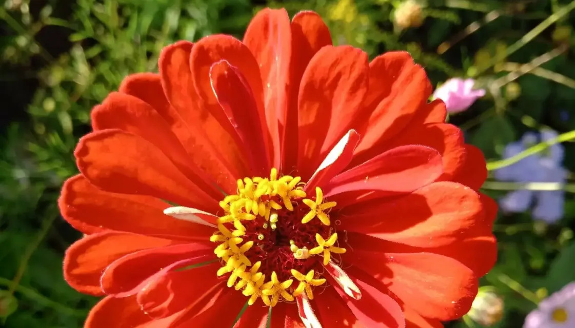 Красивости нашего дома