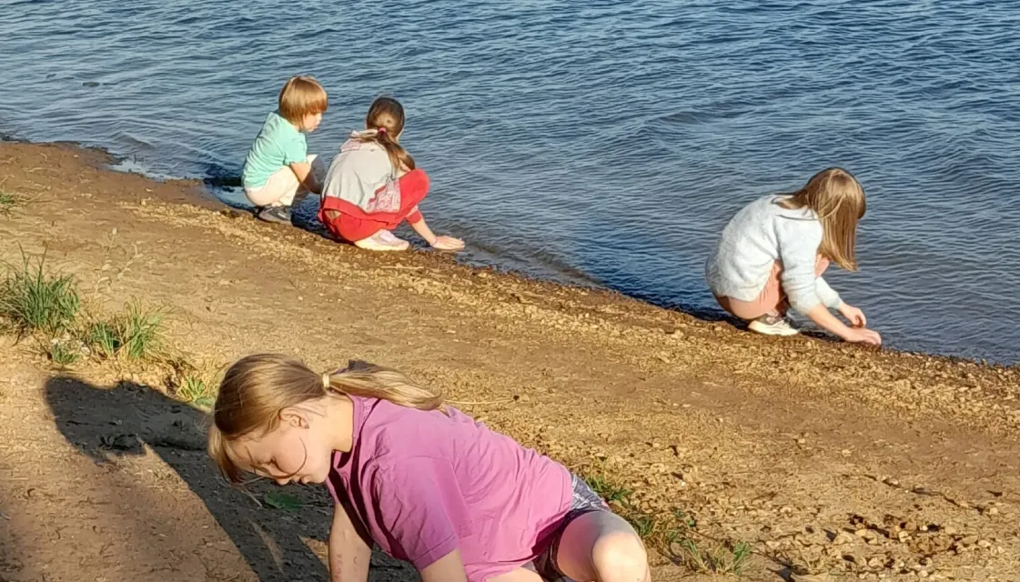 Разбросала листья осень