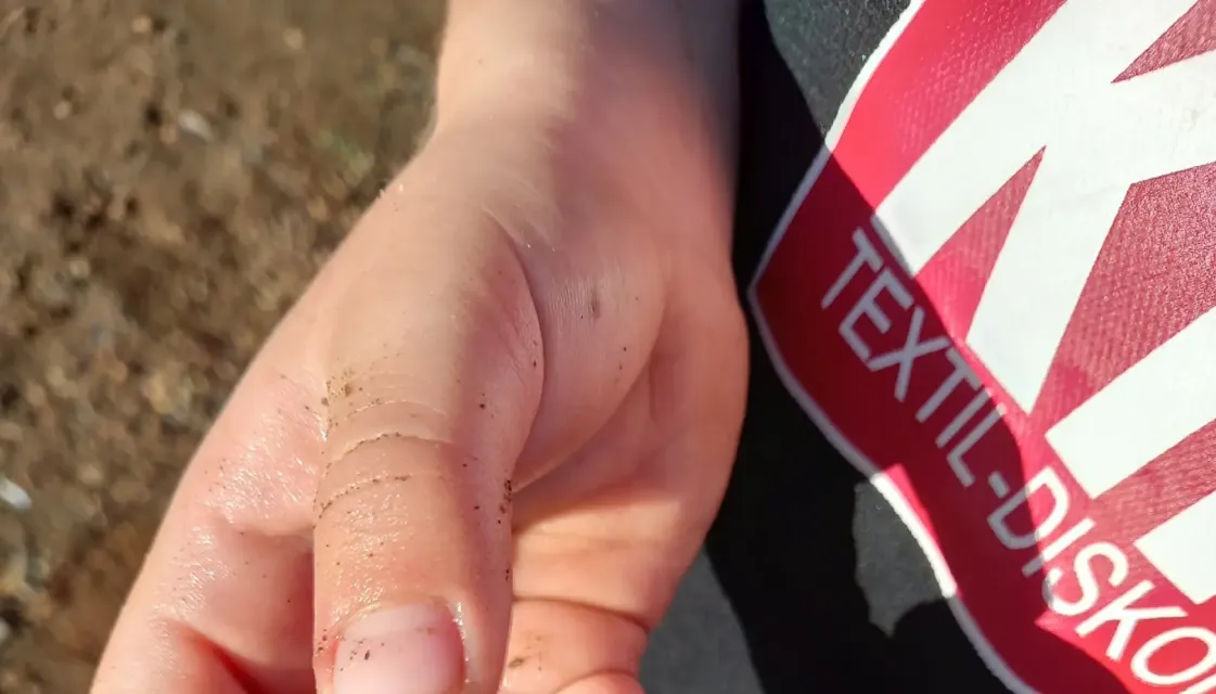 Разбросала листья осень