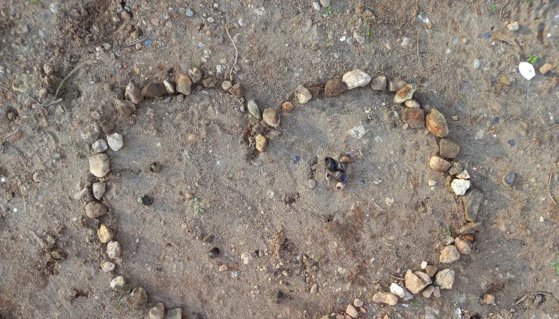 Разбросала листья осень