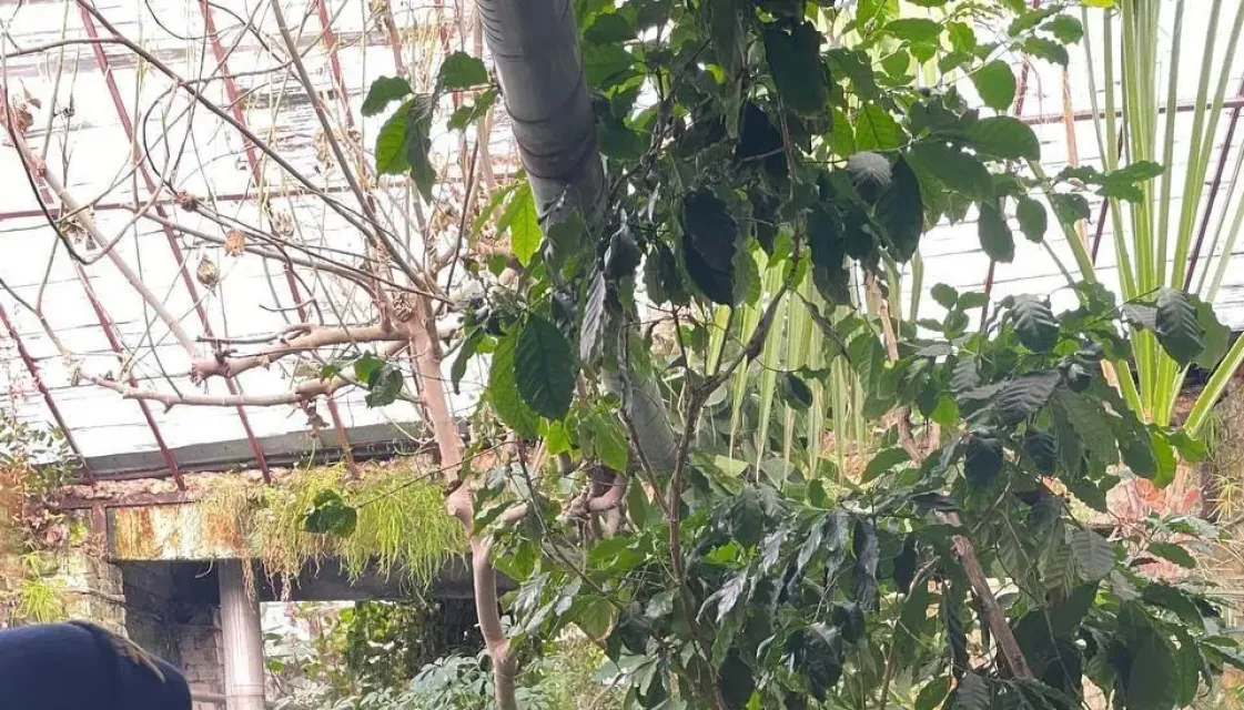 Экскурсия в Суводский лесхоз-техникум