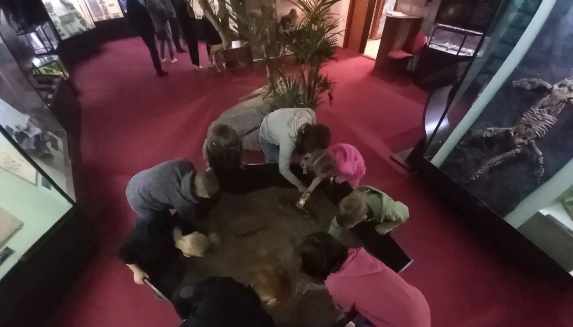 Экскурсия в палеонтологический музей