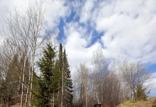 Весна на Вятке