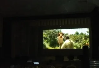 Всероссийская акция Ночь кино