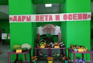 Дары лета и осени