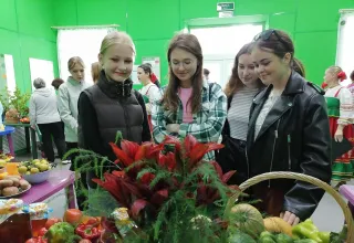 Дары лета и осени