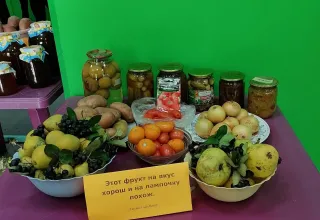 Дары лета и осени