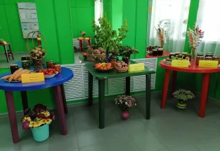 Дары лета и осени