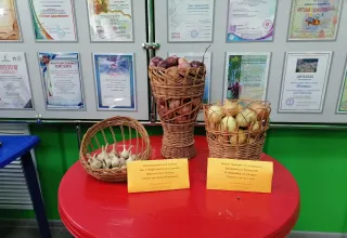 Дары лета и осени