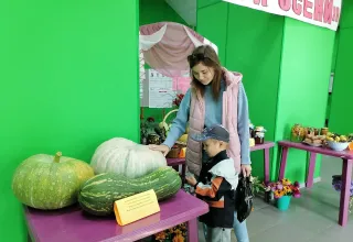 Дары лета и осени