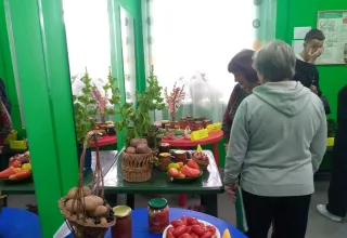 Дары лета и осени