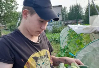 Землю красит солнце, а человека - труд