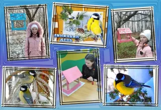 Кормушка для синичек и прочих птичек