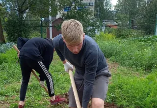 Лето с пользой