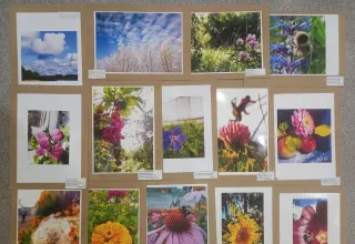 Мир в котором я живу