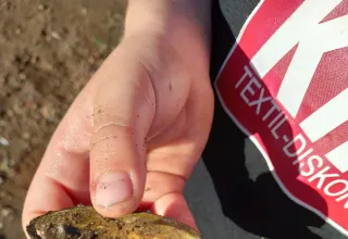 Разбросала листья осень