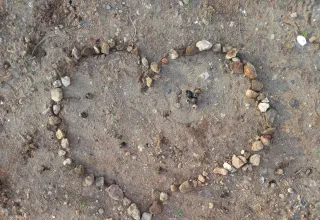 Разбросала листья осень