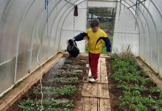 Чудо-огород