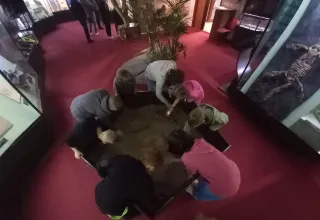 Экскурсия в палеонтологический музей