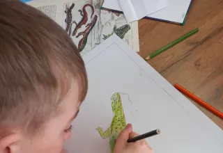 Природа - дом, где мы живём!